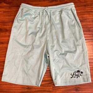 LRG basketball teal